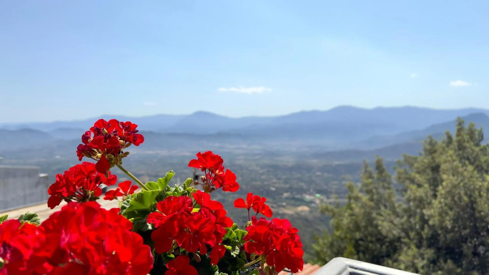 Bed & Breakfast B&B Selvaggio Blu Baunei